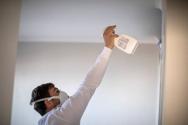 Best Mold Remediation  in Stuart, FL