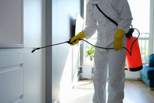 Professional Mold Removal in Stuart, FL