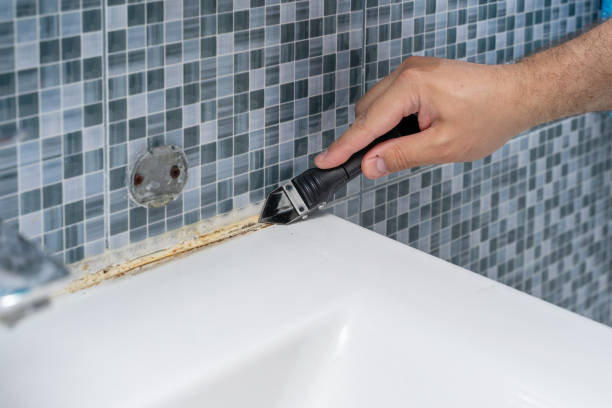 Best Black Mold Removal  in Stuart, FL